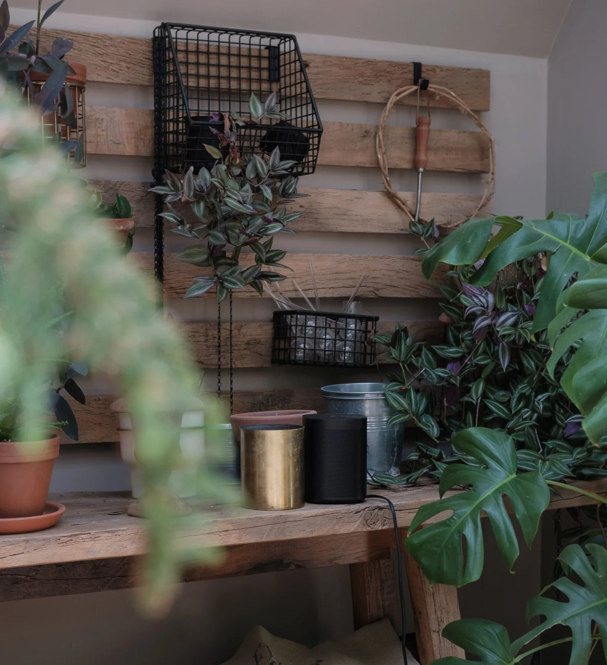 Rustic indoor garden with wooden shelves, slatted wood wall, potted plants, and a woven wall hanging.