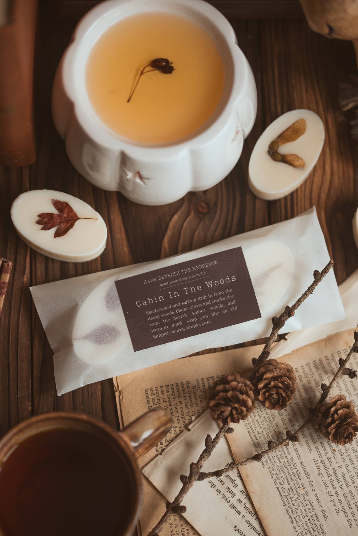 A packaged "Cabin in the Woods" botanical wax melt resting on an open book on a dark wooden table, surrounded by pinecones, dried autumn leaves, a ceramic mug, and a candle.