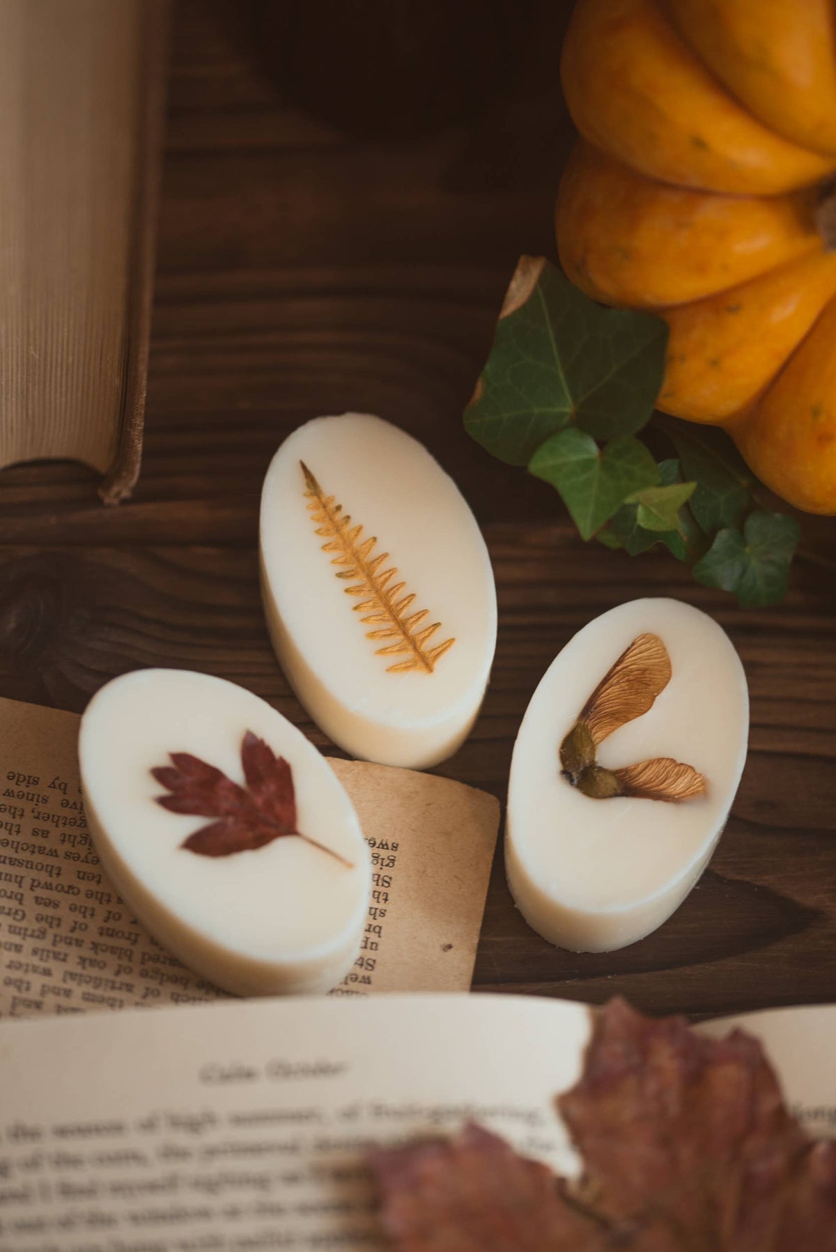 Three oval white botanical wax melts decorated with pressed autumn botanicals—a fern, a leaf, and a wing design—arranged on an open book with a pumpkin and green leaves in the background.