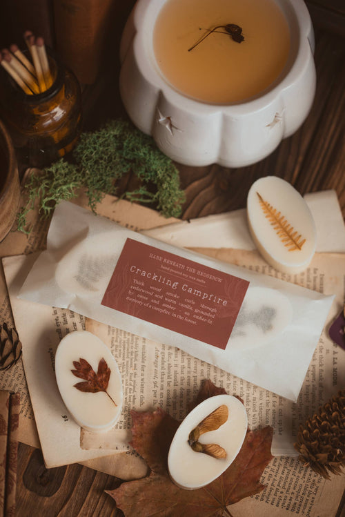 Packaged "Crackling Campfire" botanical wax melts resting on open book pages on a rustic wooden surface, surrounded by pinecones, dried autumn leaves, a candle, and a small jar of matches.