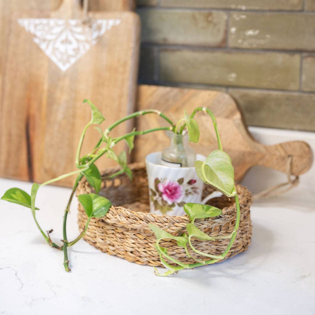 A woven oval basket holding a small floral ceramic cup and a clear glass bottle, styled with trailing green plant vines on a white countertop. A wooden cutting board and brick backsplash are visible in the background.